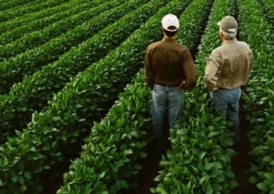 Setor de defensivos agrícolas incentiva mais de 300 mil agricultores em 2018 às boas práticas agrícola