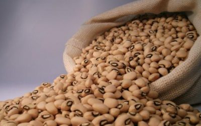 Supersafra de grãos aumenta e deve atingir 238 milhões de toneladas