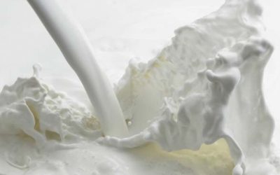 Barrar as importações vai aumentar  o preço do leite pago ao produtor?