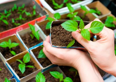 2° Congresso Nacional das Mulheres do Agronegócio acontece nessa semana