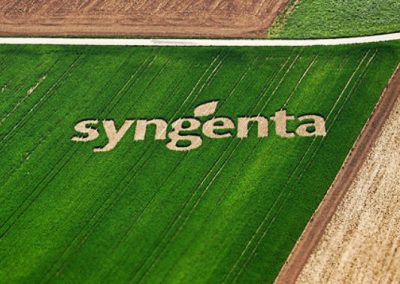 Syngenta busca uma visão compartilhada para a agricultura sustentável