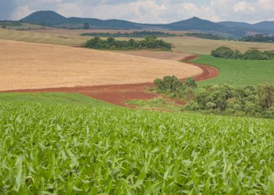 Prêmio Fazenda Sustentável: inscrições foram prorrogadas! Produtores de todo o Brasil têm até o dia 29 de julho para participar da premiação