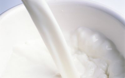 Estudo da Conab revela que Brasil produz cerca de 7% do leite mundial
