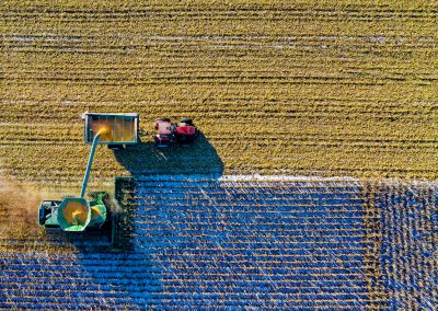 Valor da Produção Agropecuária é o maior dos últimos 31 anos