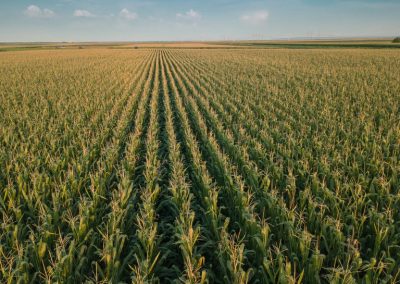 VBP do Agro deve apresentar alta de 15,3%