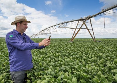 Webinar ABMRA TALKS discute como o Marketing na Era dos Dados pode contribuir com o agronegócio