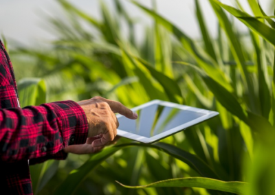 Digitalização do agro deve ser impulsionada pela pandemia