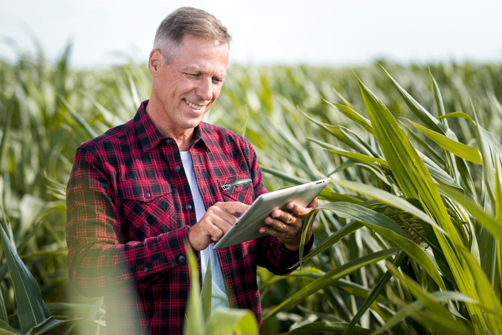 Homem grisalho caucasiano sorrindo mexendo em tablet, em uma plantação de milho.